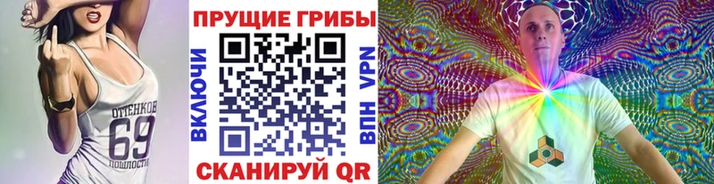 Купить закладки  Коркино  Псилоцибиновые грибы MAGIC MUSHROOMS 